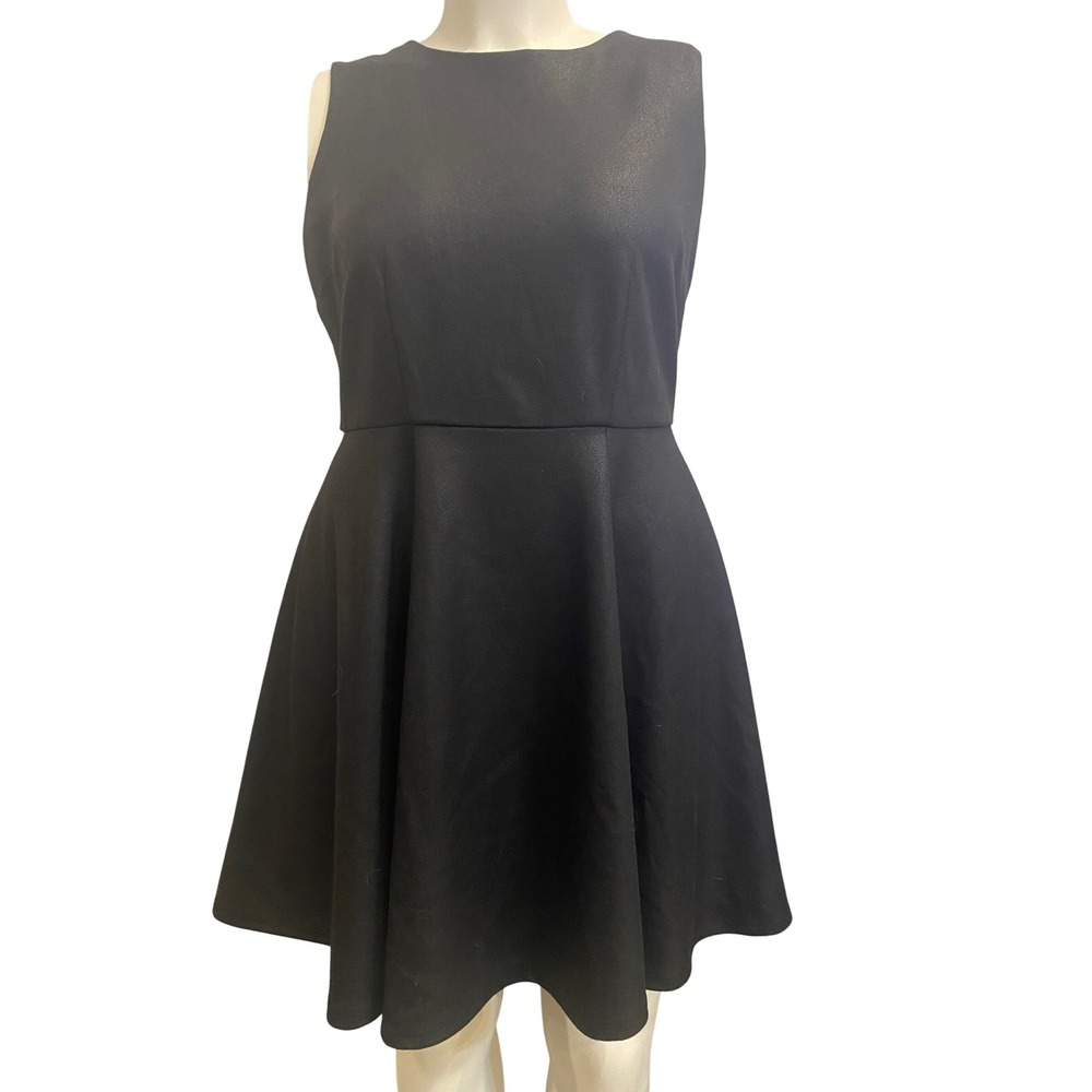 Jennifer Lopez Black  Mesh‎ Back Fit and Flare Cocktail Dress Sleeveless